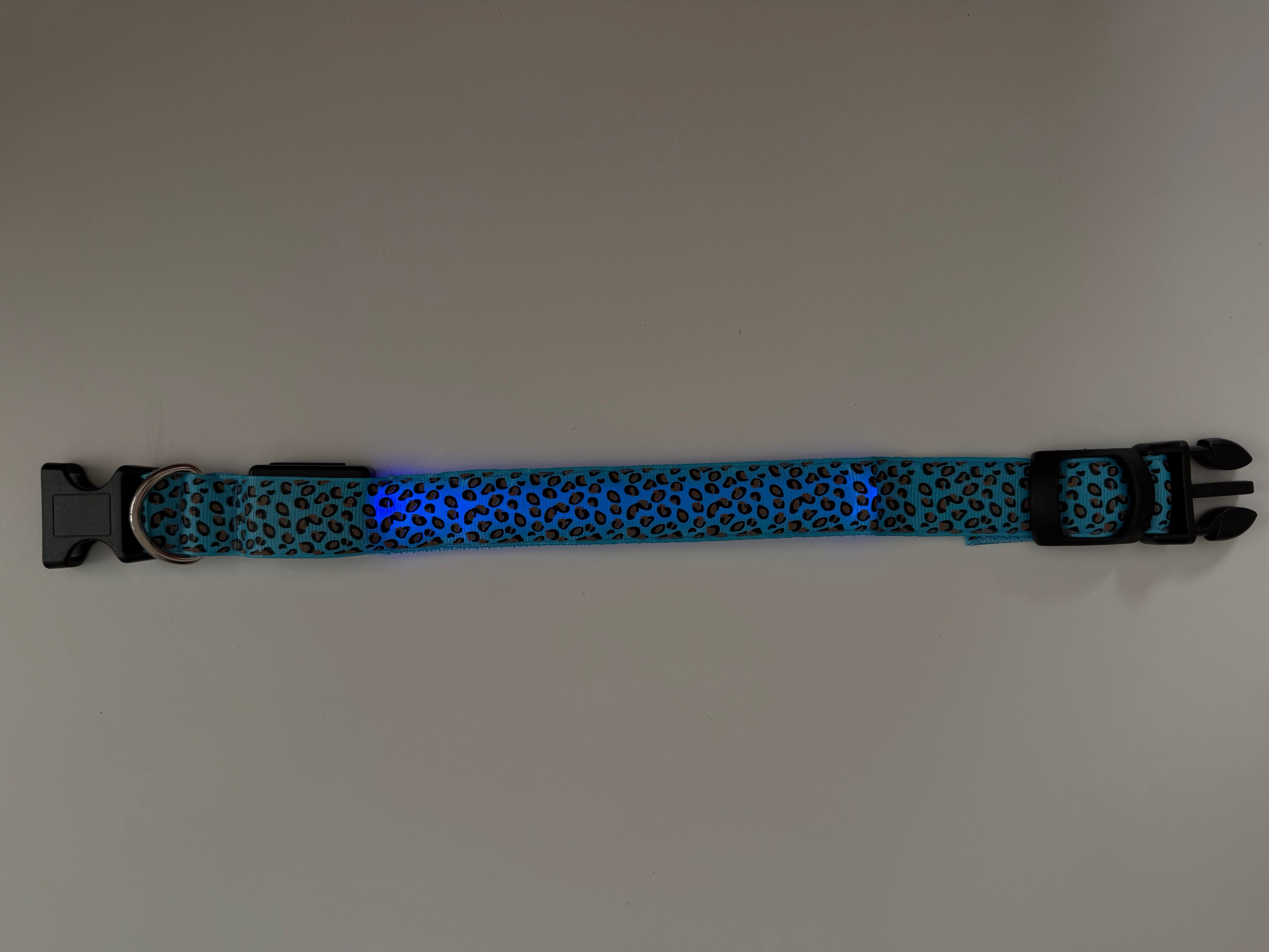 COLLAR LEO - Azul