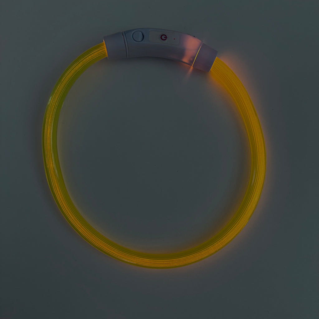 COLLAR THOR - Amarillo