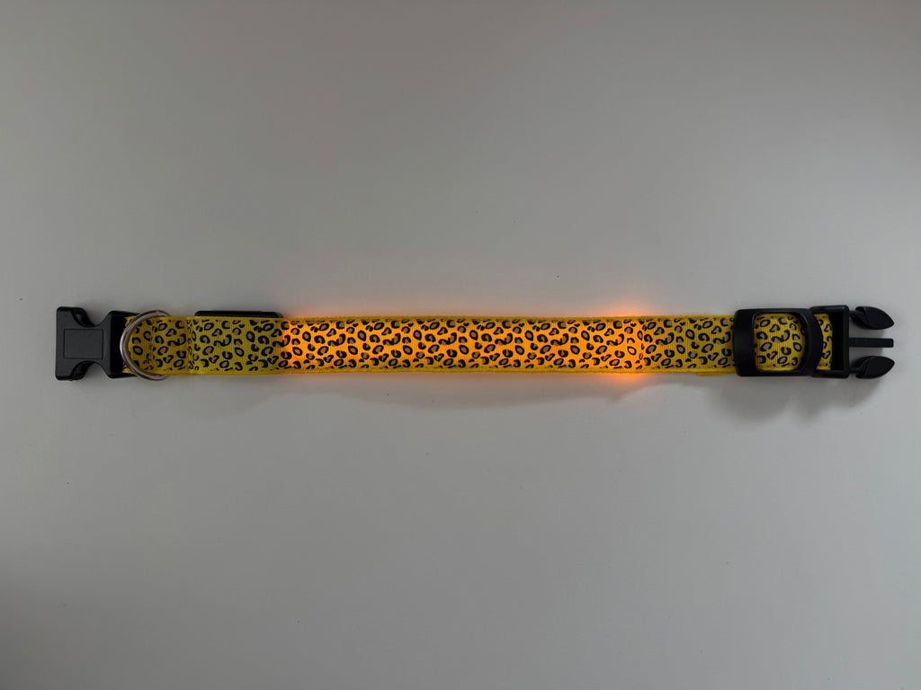 COLLAR LEO - Amarillo