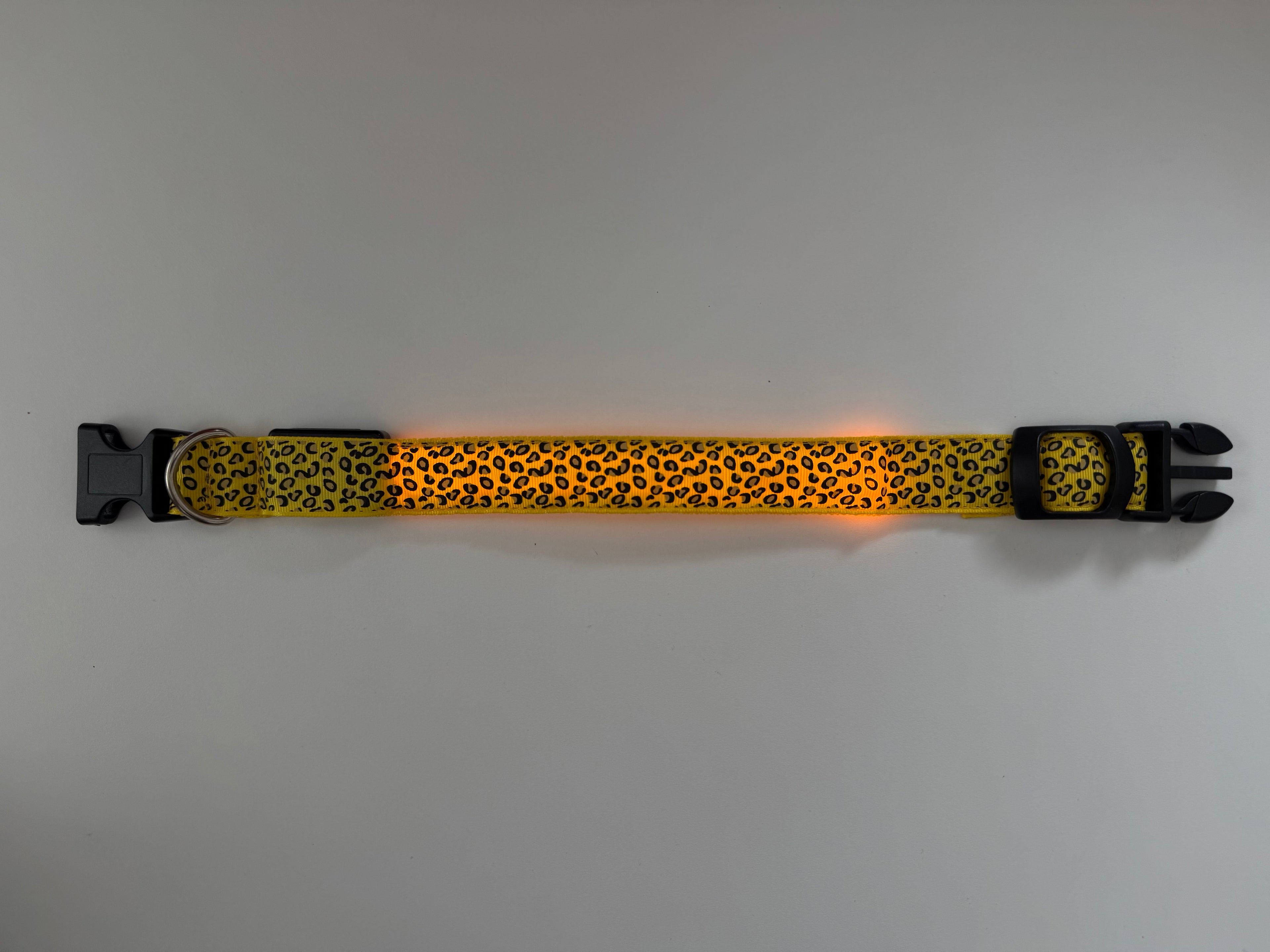 COLLAR LEO - Amarillo