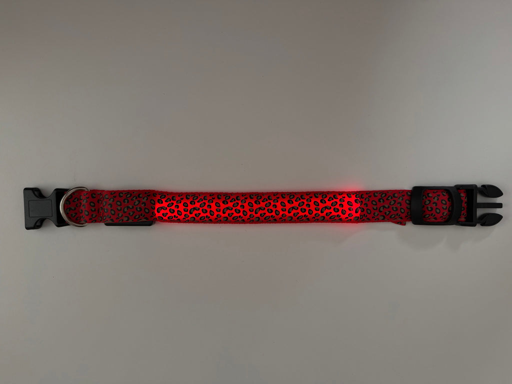 COLLAR LEO - Rojo