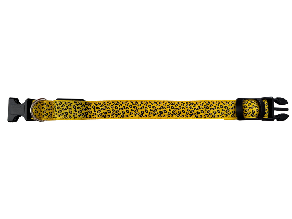 COLLAR LEO - Amarillo