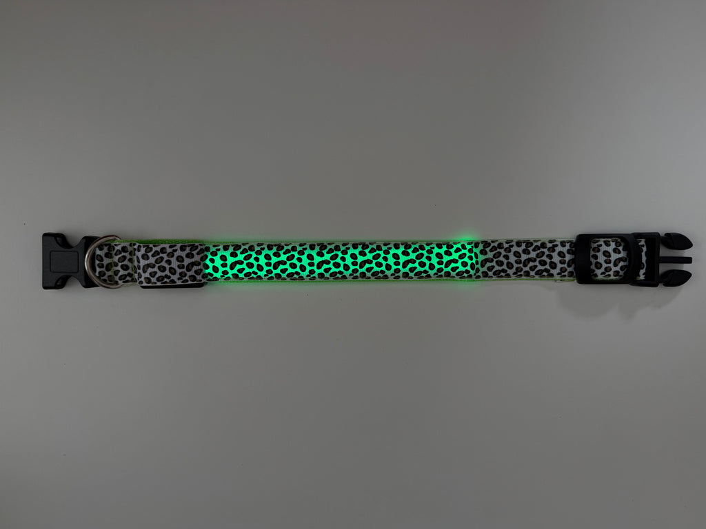 COLLAR LEO - Verde