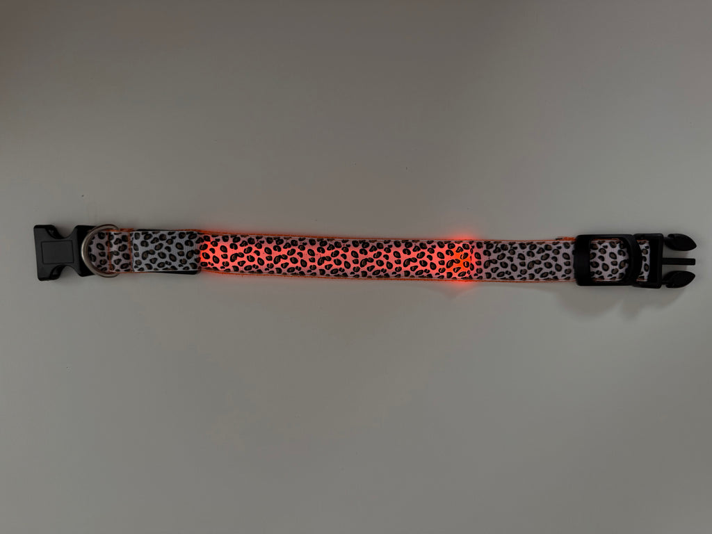 COLLAR LEO - Naranja