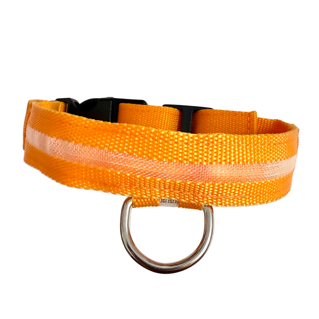 COLLAR LOLO - Naranja