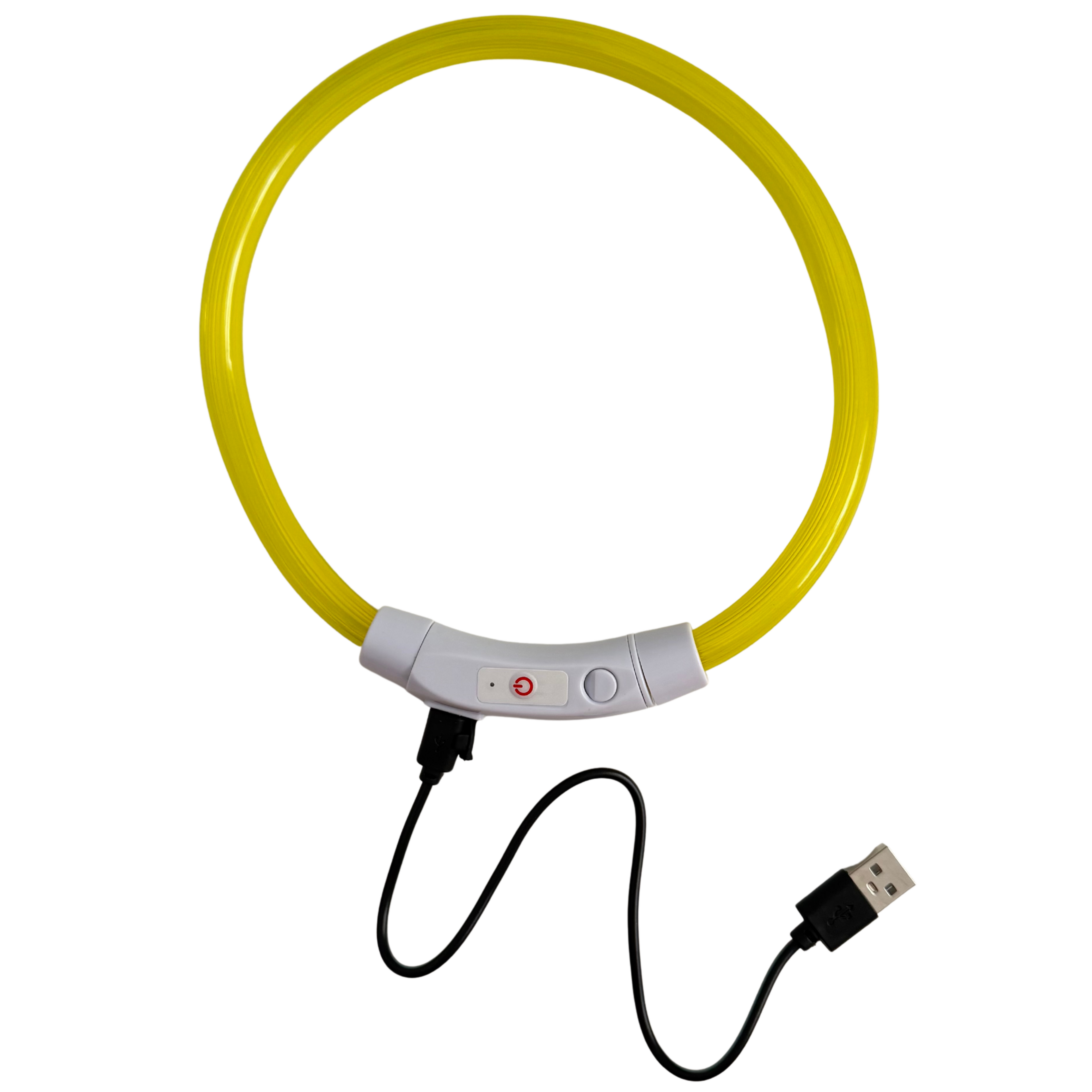 COLLAR THOR - Amarillo