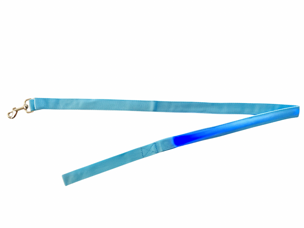 CORREA LUMINOSA - Azul