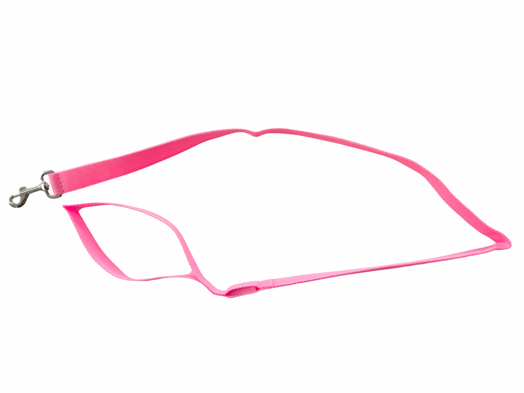 CORREA LUMINOSA - Rosa