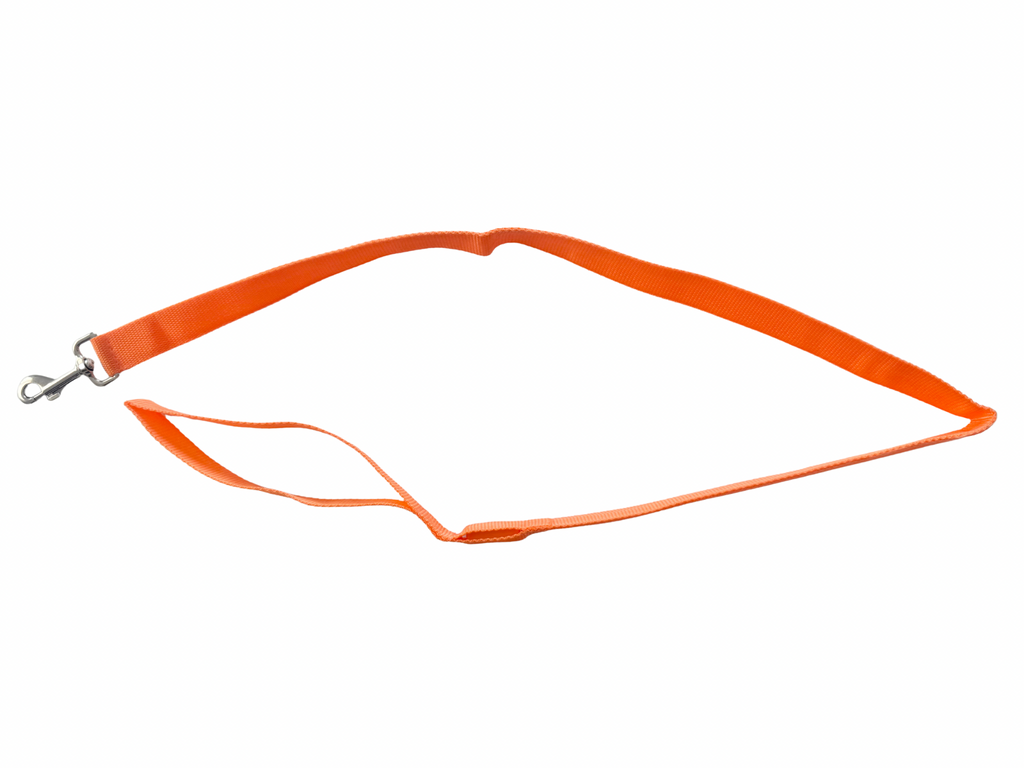 CORREA LUMINOSA  - Naranja