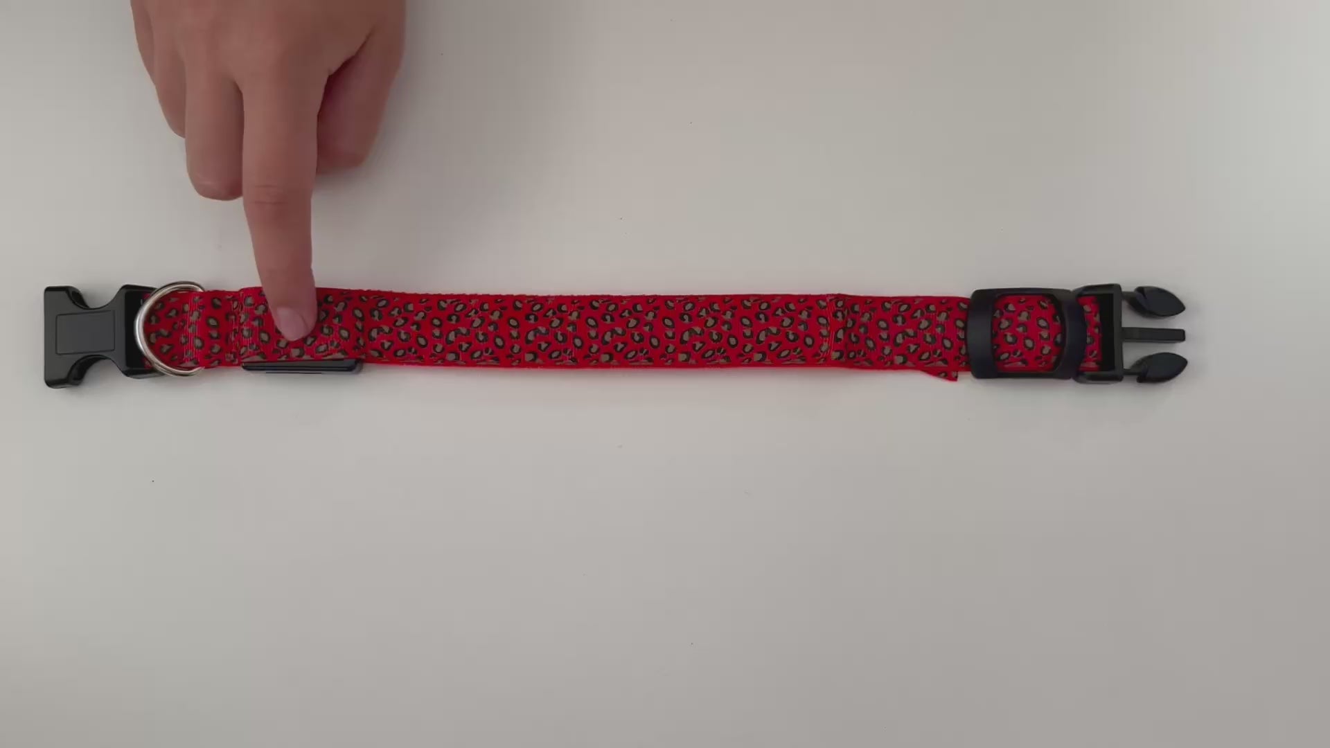 COLLAR LEO - Rojo
