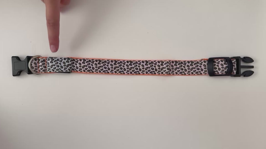 COLLAR LEO - Naranja