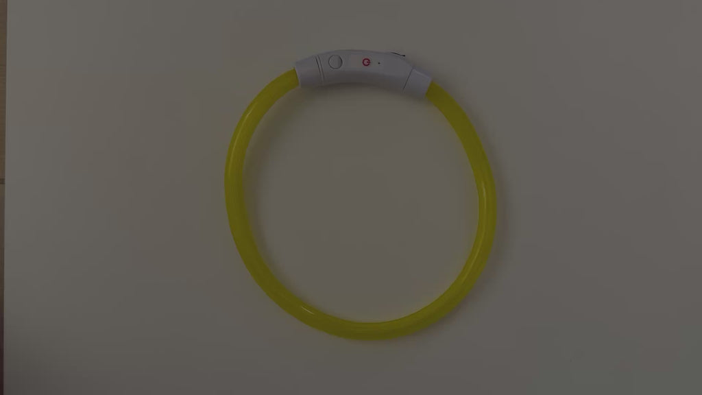 COLLAR THOR - Amarillo