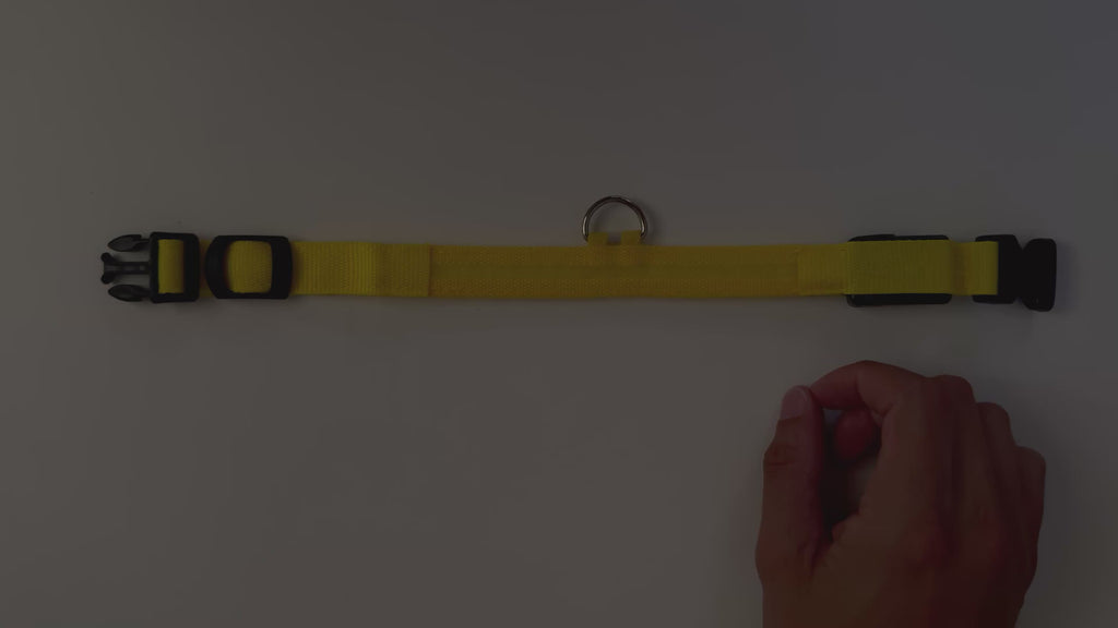 COLLAR LOLO - Amarillo
