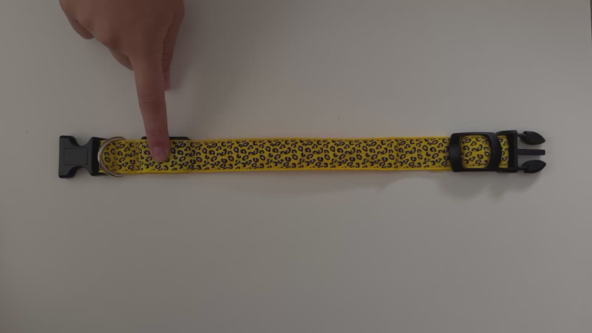 COLLAR LEO - Amarillo